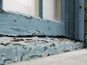 Family Care Health Centers Lead Poisoning